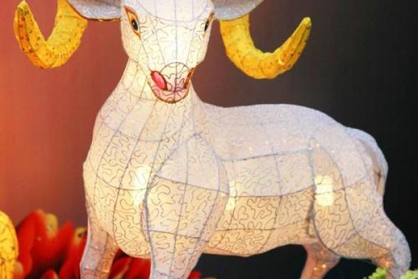 03年属什么生肖 03年属什么生肖