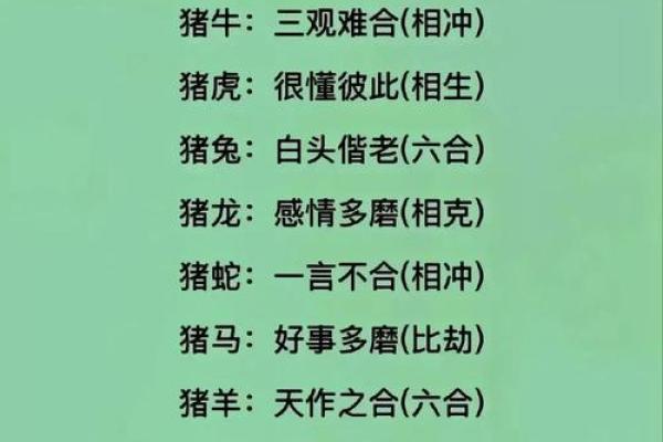 今天什么生肖相冲 今天什么生肖相冲