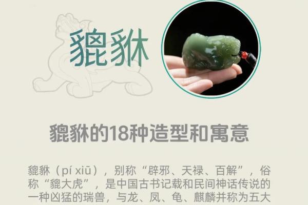 貔貅最忌讳什么生肖