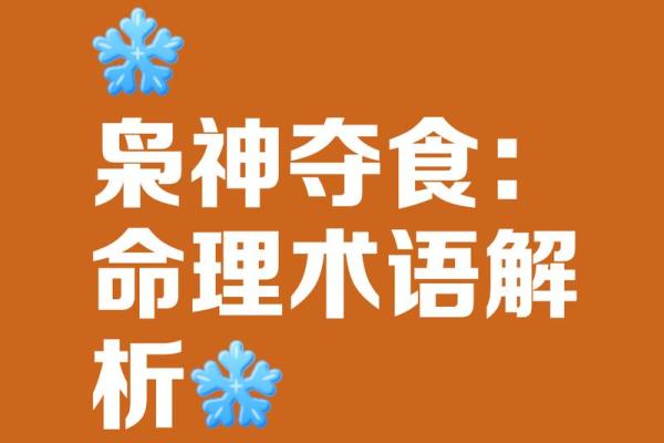 枭神在八字中代表什么意思(枭神在八字中代表什么意思呢女)