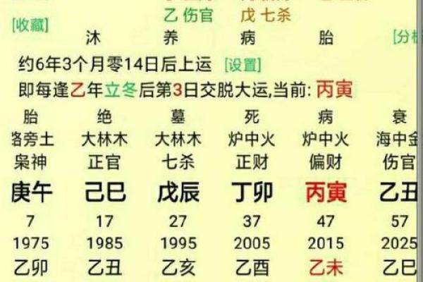 正官在八字中代表什么(正官在八字中代表什么意思女命)