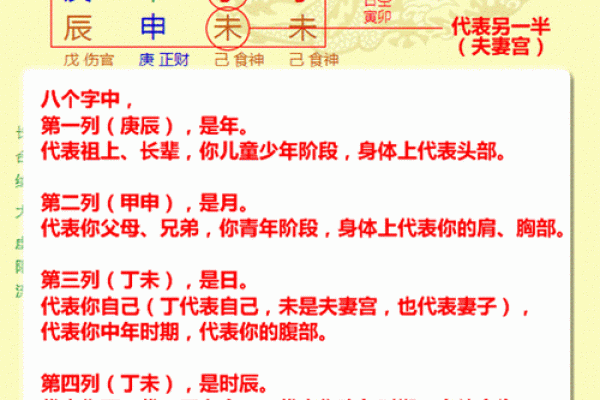 如何看懂八字排盘基本知识(八字排盘免费排盘)