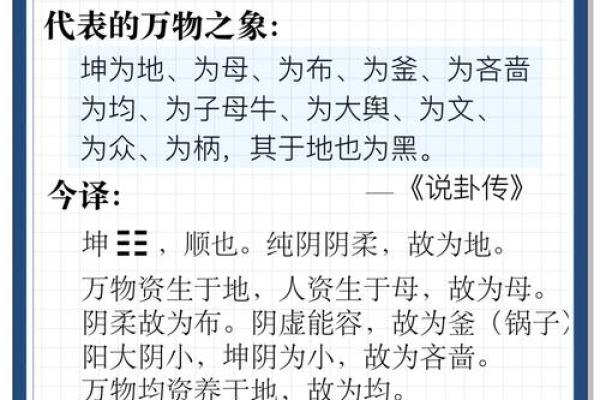 坤造在八字中代表什么意思(生辰八字坤造是什么意思)