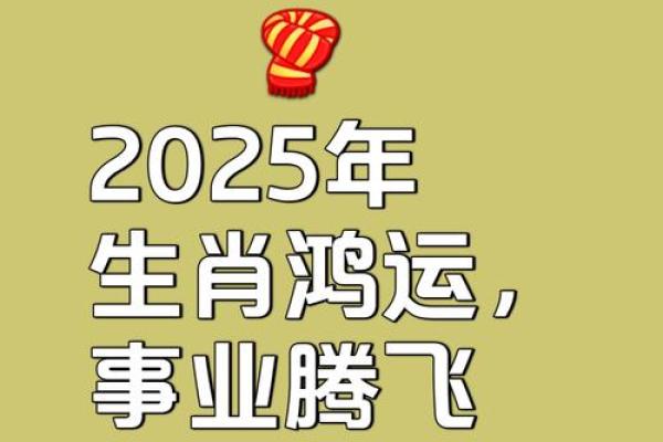 2025属猪的要躲着谁(属猪人2025年全年运势及运程) 2025属猪的要躲着谁(属猪人2025年全年运势及运程)