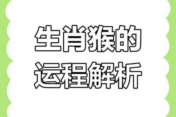 2025年属猴人的全年运势1980出生(2025年属猴人的全年运势1980出生男)