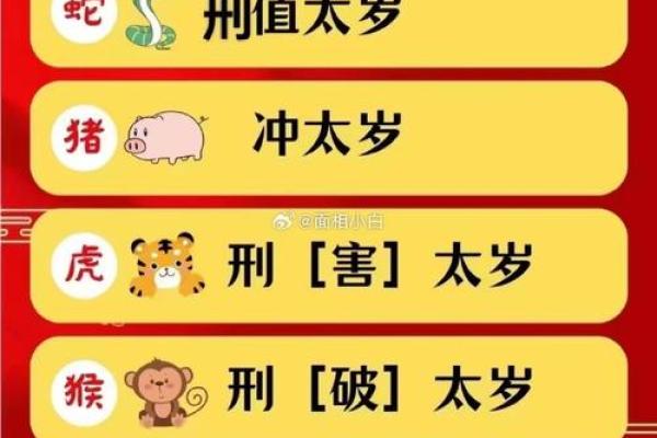 83年属猪人2025年全年运势及运程(83年属猪人2025年全年运势及运程农历网)