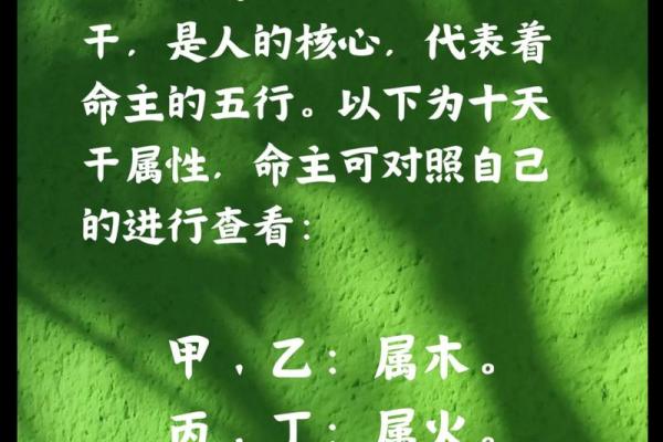 日主在八字中代表什么意思(日柱坐日主是什么意思)