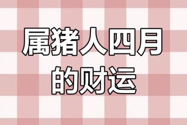 71属猪2025年有两喜(属猪的2025年运势怎么样)