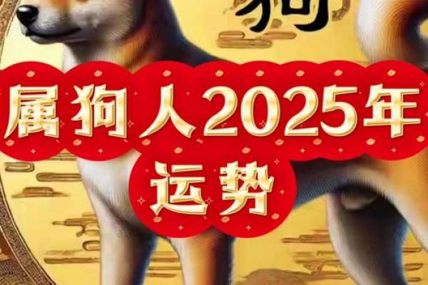 1982年属狗人2025年运势及运程(1982年属狗人2025年运势及运程详解) 1982年属狗人2025年运势及运程(1982年属狗人2025年运势及运程详解)