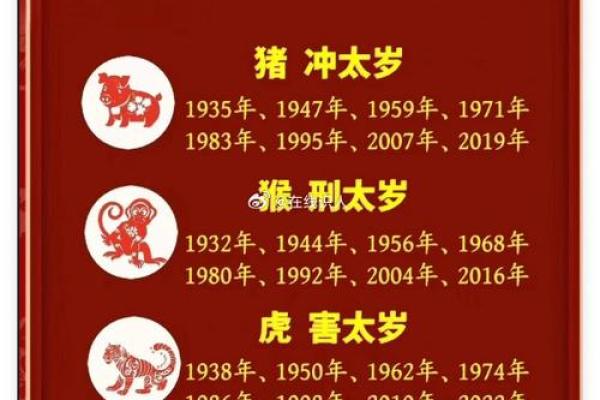 属猪2025年多大(属猪2025年多大岁数)