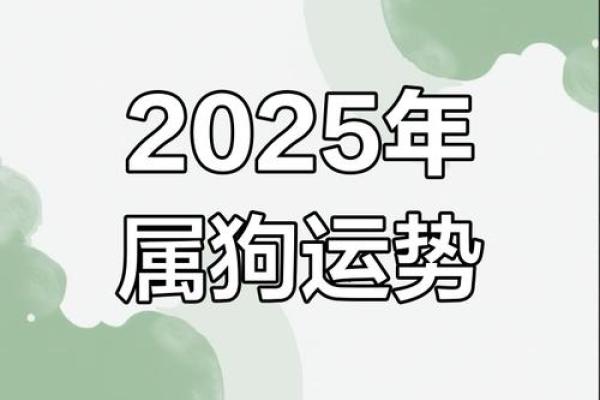 82年的狗在2025年的运势怎么样(82年的狗在2025年的运势怎么样需要避讳什么) 82年的狗在2025年的运势怎么样(82年的狗在2025年的运势怎么样需要避讳什么)