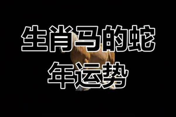 2025年属马的多少岁(2025年属马的多少岁啦) 2025年属马的多少岁(2025年属马的多少岁啦)