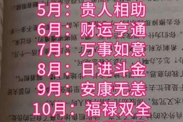 属狗人2025年每月运势及运程详解(属狗人2025年每月运势及运程) 属狗人2025年每月运势及运程详解(属狗人2025年每月运势及运程)