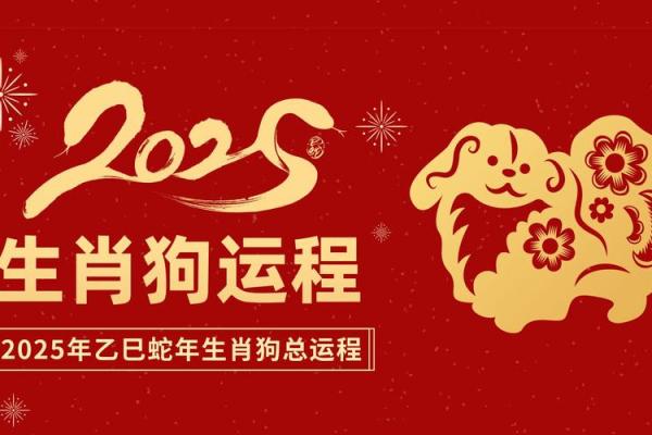 属狗2025年多大岁数(58年属狗的终身寿命) 属狗2025年多大岁数(58年属狗的终身寿命)