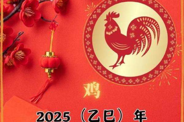 属鸡2025年多大了(属鸡2025年多大了虚岁呢)