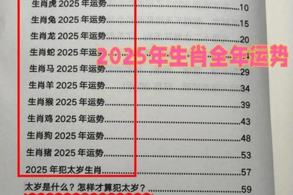 八二年属狗的在2025年运势怎样(82年属狗的人2025年的运势及运程)