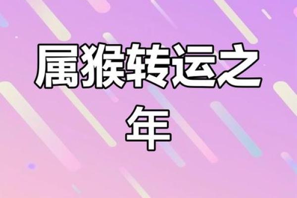 2025年属猴的多大(2025年属鸡的多大)
