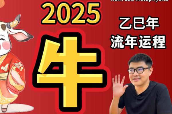 牛年2025年运势及运程(牛年2025年运势及运程详解)
