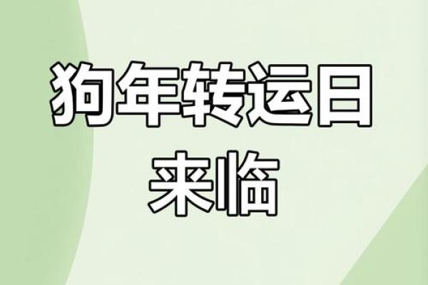 属狗的2025年多大(属狗的2025年多大岁)