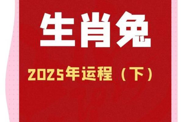 2025属兔人全年运势1987(2025属兔人全年运势1987在那个方向)