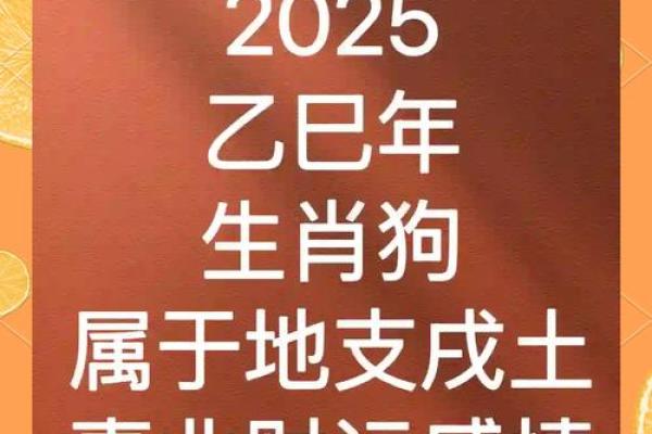 2025属狗大忌颜色(2025属狗大忌颜色) 2025属狗大忌颜色(2025属狗大忌颜色)
