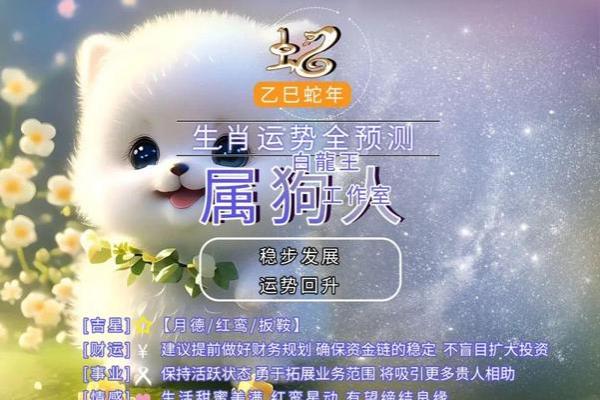 属狗的今年多大啦2025年(属狗人一生最克3个人) 属狗的今年多大啦2025年(属狗人一生最克3个人)