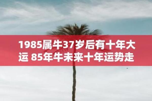 1985年属牛女2025年运势(1985年属牛女2025年运势每月运势算命网)
