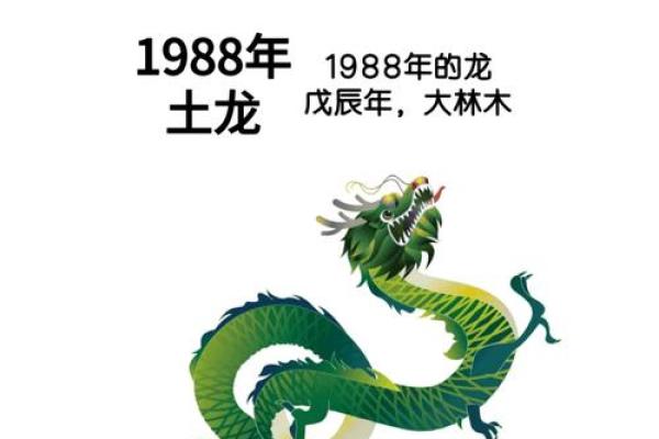 88年龙2025年运势全年运势(88年龙2025年运势全年运势男) 88年龙2025年运势全年运势(88年龙2025年运势全年运势男)