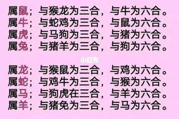 男鼠和女虎相配婚姻如何(男鼠女虎千万别在一起) 男鼠和女虎相配婚姻如何(男鼠女虎千万别在一起)