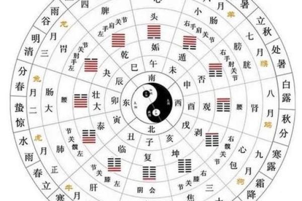 四柱八字排盘(免费版)(四柱八字排盘免费版官网)