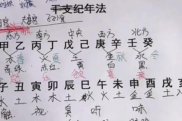 生辰八字排盘(生辰八字排盘图)