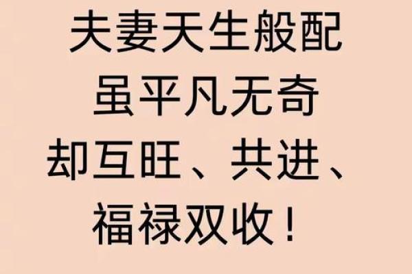 鼠和羊相配婚姻如何(羊跟鼠婚姻相配吗)