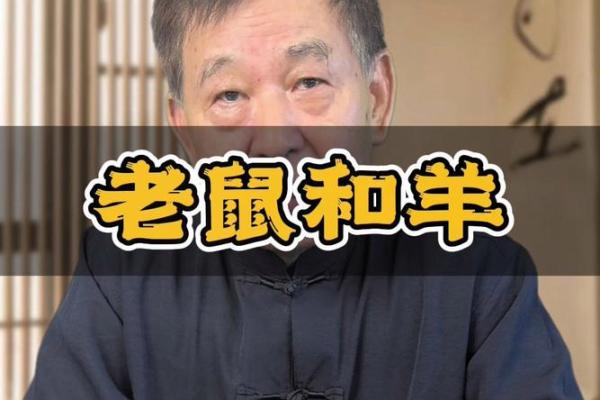 鼠和羊相配婚姻如何(羊跟鼠婚姻相配吗)
