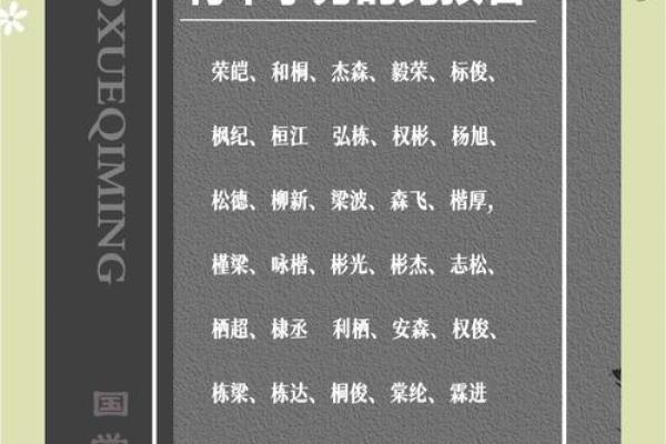 木字旁的字男孩起名字(木字旁的字男孩起名字12画) 木字旁的字男孩起名字(木字旁的字男孩起名字12画)