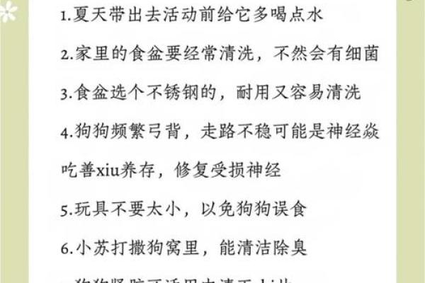 狗宝宝取名字最佳字(狗宝宝取名字最佳字女孩)