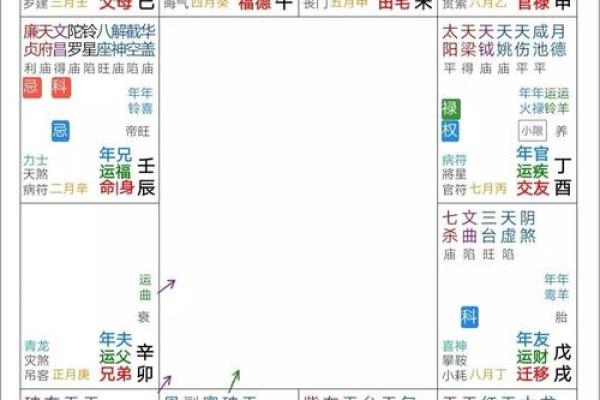北派紫微斗数(北派紫微斗数取用神)