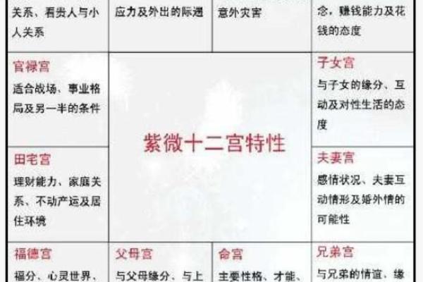 紫微斗数怎么看夫妻宫(紫微斗数怎么看夫妻宫配偶寿命)