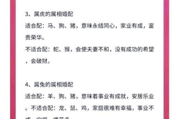 婚姻生肖配对查询(婚姻生肖配对查询表)