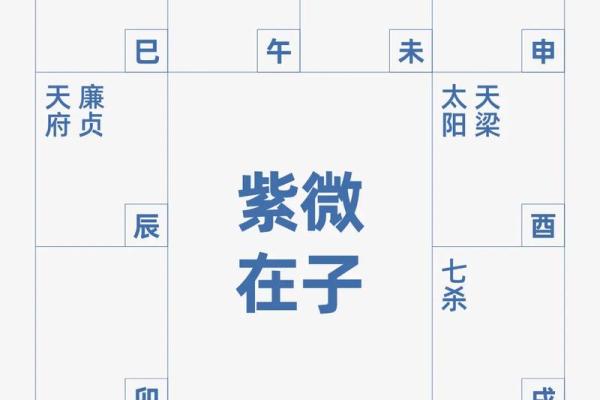 紫微斗数如何排盘(紫微斗数排盘方法步骤总表)