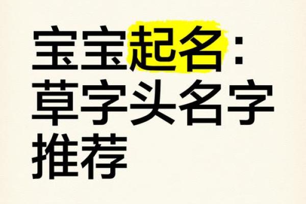 草字头最旺男孩名字(草字头最旺男孩名字三个字) 草字头最旺男孩名字(草字头最旺男孩名字三个字)