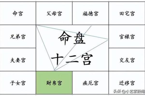 中国紫微斗数排盘(紫微斗数排盘免费)
