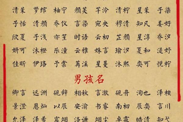 聪明有出息的男孩名字(聪明有出息的男孩名字周) 聪明有出息的男孩名字(聪明有出息的男孩名字周)