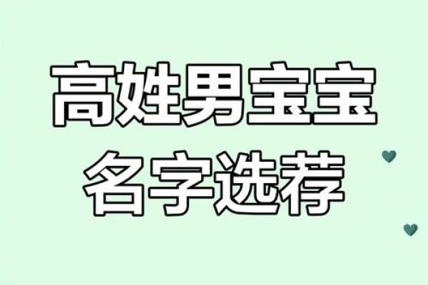 高姓男宝宝取名2025 高姓男宝宝取名2025