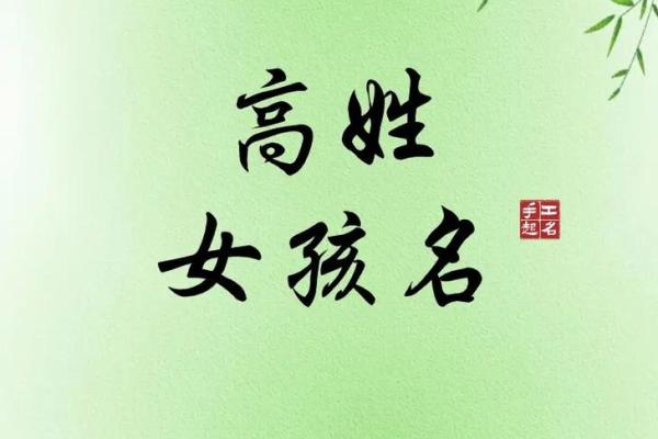 高姓男宝宝取名2025 高姓男宝宝取名2025