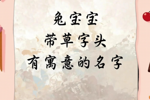 草字头最旺男孩名字推荐(草字头的男孩子的名字)