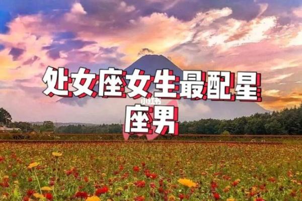 处女座女和什么座最配对男(处女座女和什么星座女最配对) 处女座女和什么座最配对男(处女座女和什么星座女最配对)