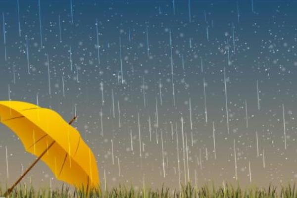 梦见刮大风下雨什么意思