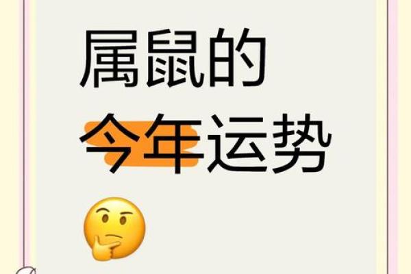 2025年属鼠的运势和财运1984年(属鼠人2025年的运势) 2025年属鼠的运势和财运1984年(属鼠人2025年的运势)