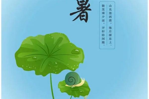 2020小暑是哪一天 今年什么时候是小暑节气2020 2020小暑是哪一天 今年什么时候是小暑节气2020