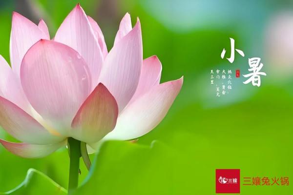 2020小暑是哪一天 今年什么时候是小暑节气2020 2020小暑是哪一天 今年什么时候是小暑节气2020